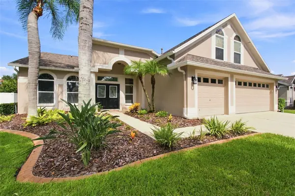 10260 Shadow Branch Drive, TAMPA, FL 33647