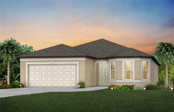 9869 Hickory Pines Avenue, RIVERVIEW, FL 33578