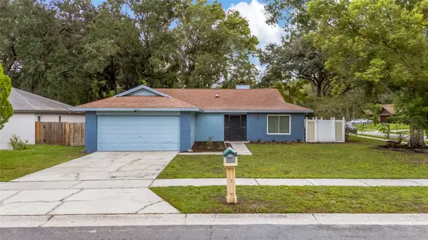 17717 Cranbrook Drive, LUTZ, FL 33549
