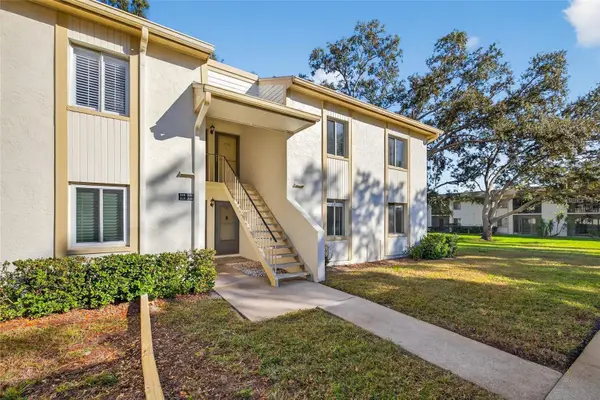 219 Palmetto Court #219, OLDSMAR, FL 34677
