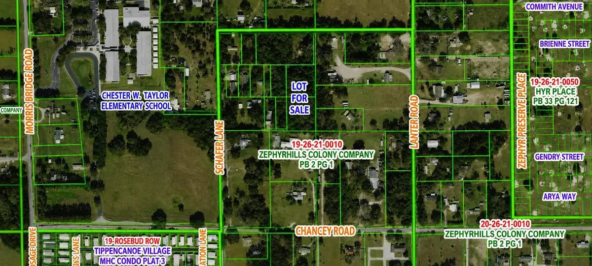 A Street, Zephyrhills, FL 33542 - #1