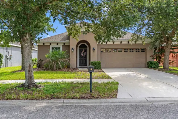 15913 Oakleaf Run Drive, LITHIA, FL 33547