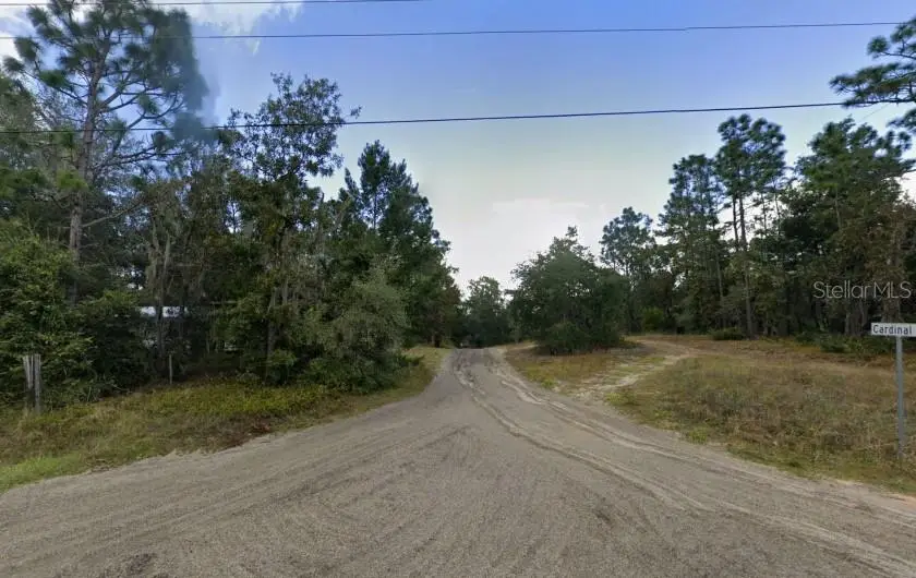 Centerwood Road, Florahome, FL 32140 - #3