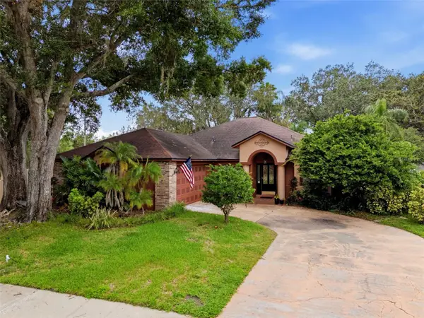 16502 Cayman Drive, TAMPA, FL 33624