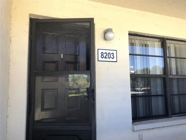 13608 S Village Drive #8203, TAMPA, FL 33618