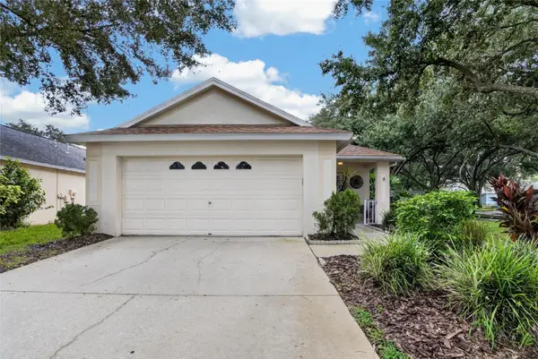 5848 Meadowpark Place, LITHIA, FL 33547
