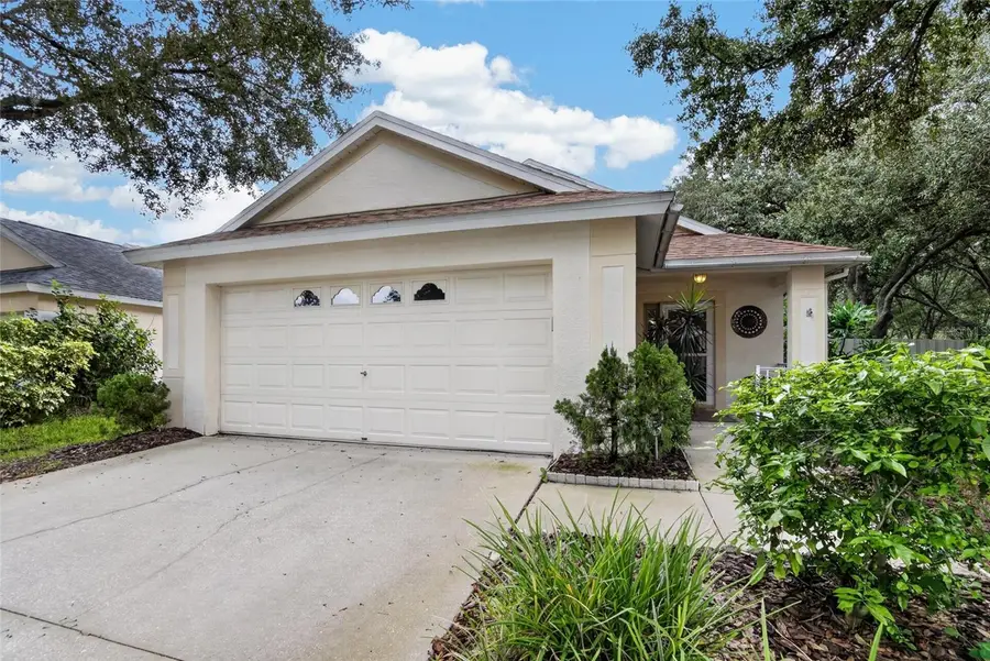 5848 Meadowpark Place, Lithia, FL 33547 - #2