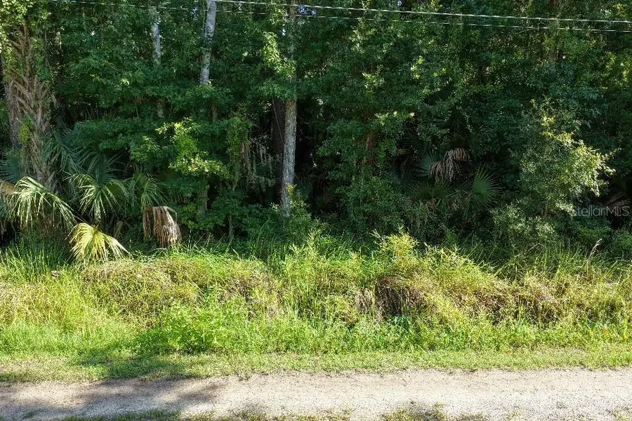 Gobbler Road, Astor, FL 32102 - #2