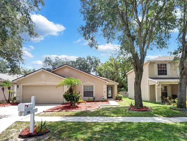 7515 Terrace River Drive, TEMPLE TERRACE, FL 33637