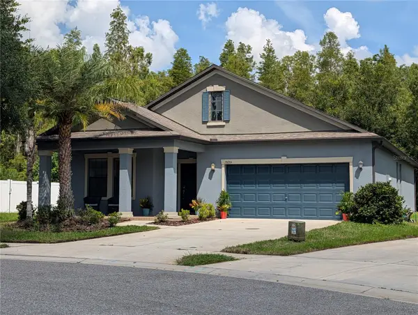 19255 Alexandrea Lee Court, LAND O LAKES, FL 34638