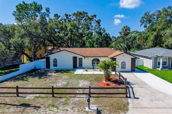 3823 E Norfolk Street, TAMPA, FL 33604