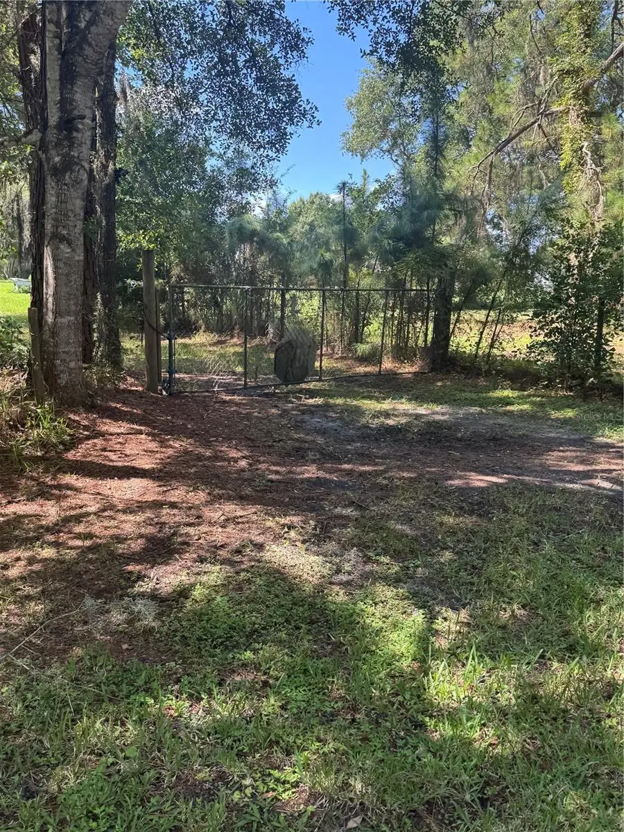 29244 Sanibel Drive, Wesley Chapel, FL 33544 - #1
