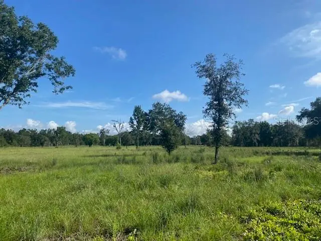 5840 Bob Smith Avenue, Plant City, FL 33565 - #1