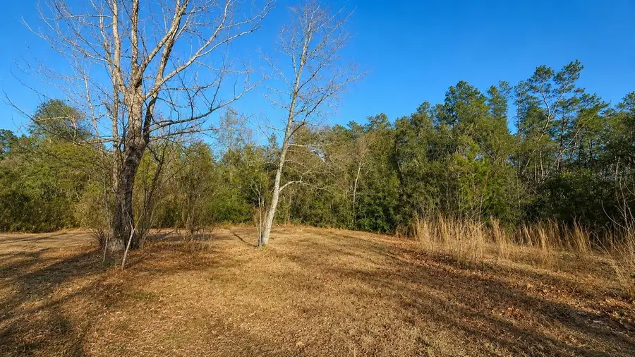 14175 SE 209th Terrace, Umatilla, FL 32784 - #3