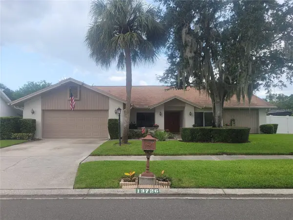 13726 Chestersall Drive, TAMPA, FL 33624