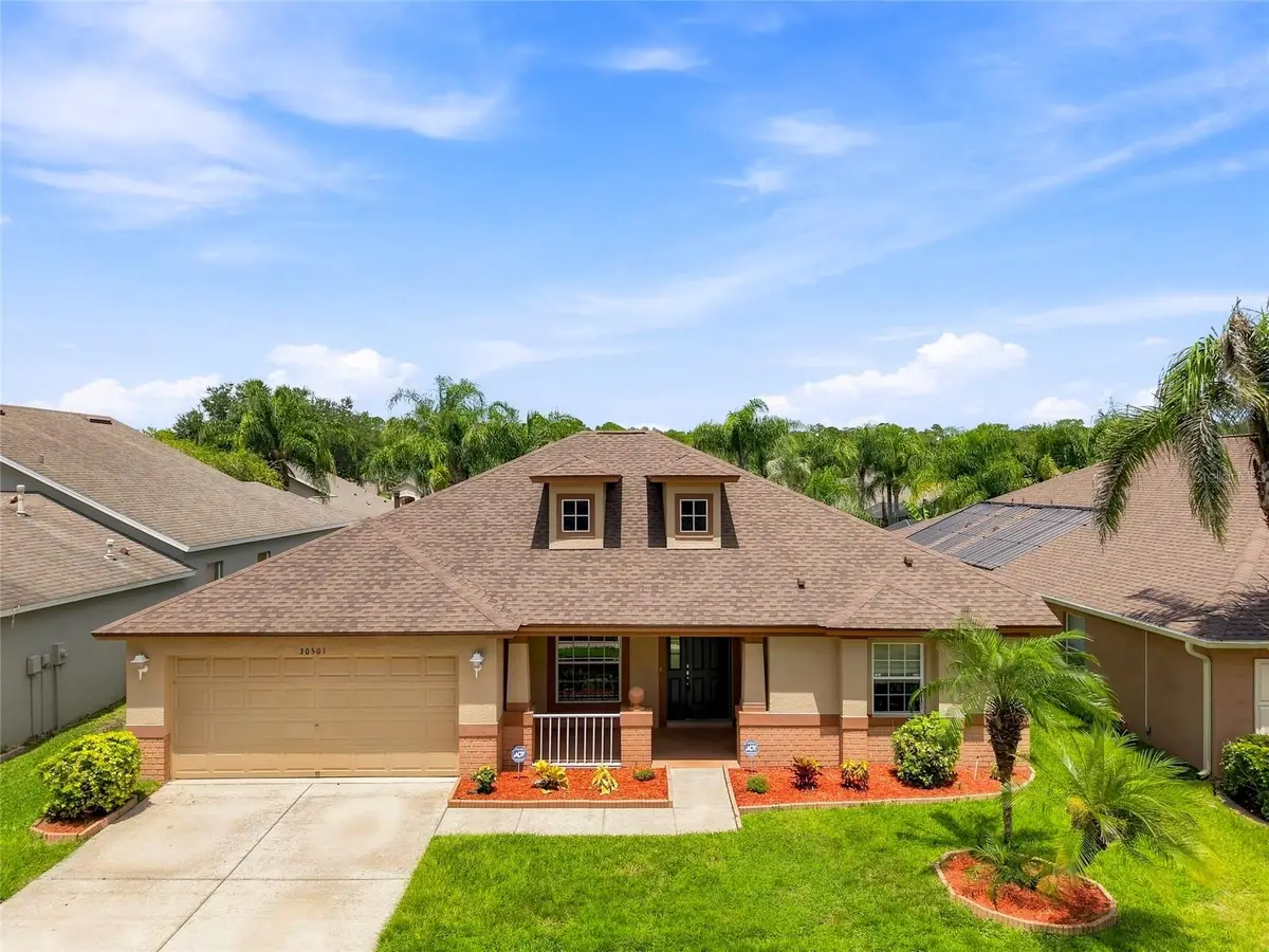 30501 Iverson Drive, Wesley Chapel, FL 33543 - #1