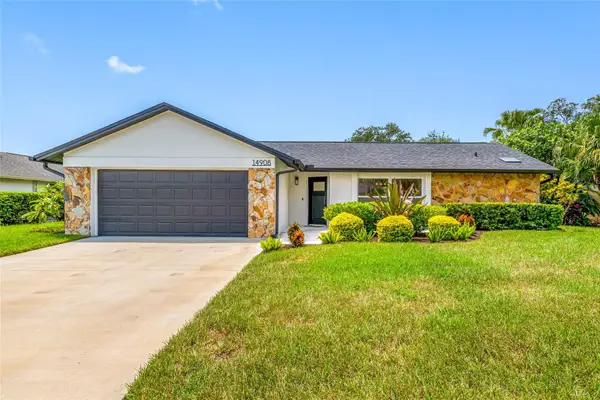 14908 Salamander Place, TAMPA, FL 33625
