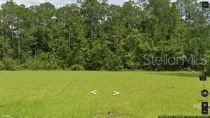 7143 Oak Glen Trail, Harmony, FL 34773 - #2