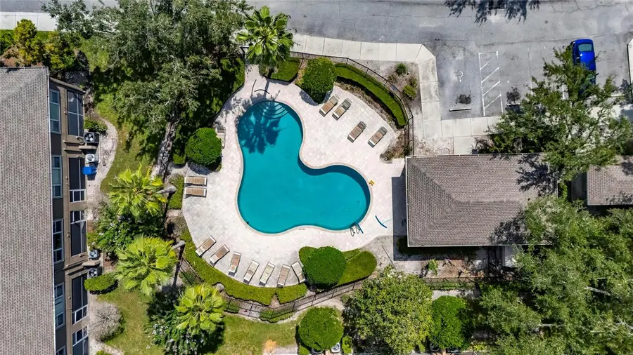 9831 Blue Palm Way, Tampa, FL 33610 - #3