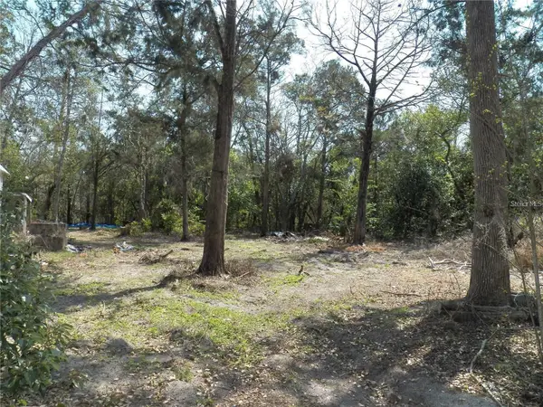 15730 Gifford Lane, SPRING HILL, FL 34610