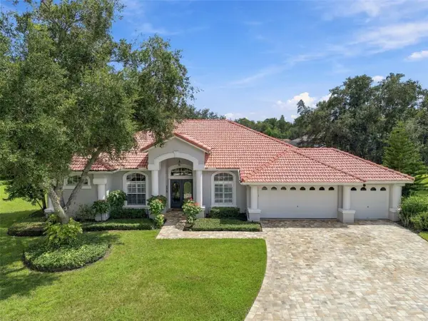 6901 Aqueduct Terrace, ODESSA, FL 33556