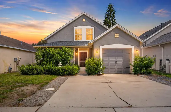 10521 Lakeside Vista Drive, RIVERVIEW, FL 33569