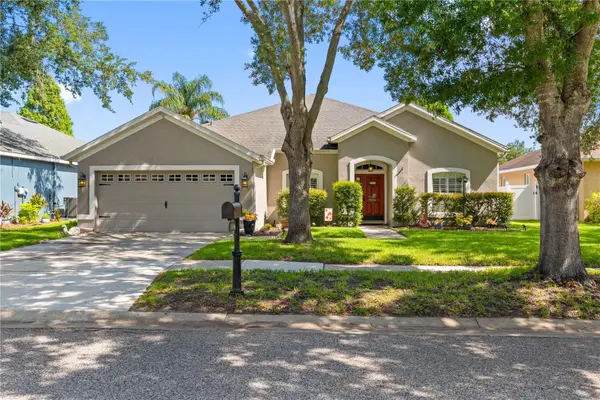 11916 Summer Springs Drive, RIVERVIEW, FL 33579
