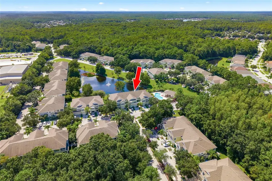 14082 Waterville Circle, Tampa, FL 33626 - #3