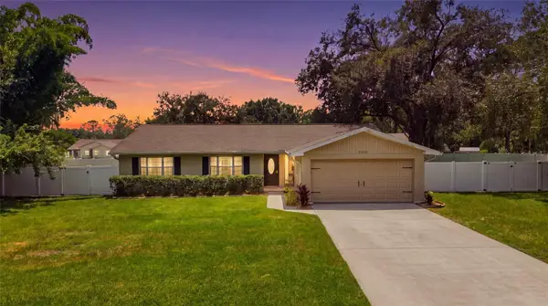 23252 Charlston Place, LAND O LAKES, FL 34639