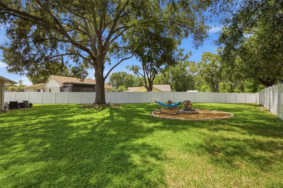23252 Charlston Place, Land O Lakes, FL 34639 - #3