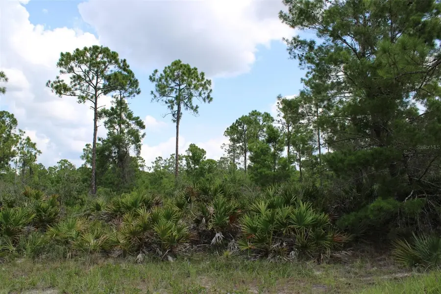 1830 Oleaster Avenue, Sebring, FL 33875 - #3