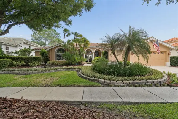 17714 Grey Eagle Road, TAMPA, FL 33647