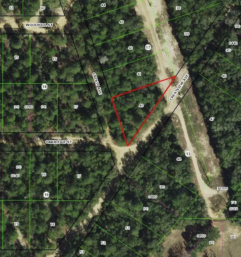 112 S Crestview Avenue, Inverness, FL 34452 - #3