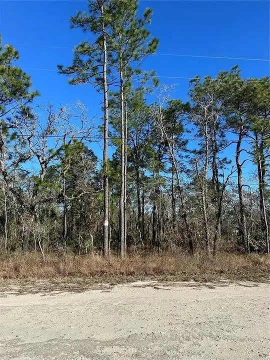 11107 Seattle Wren Avenue, WEEKI WACHEE, FL 34614