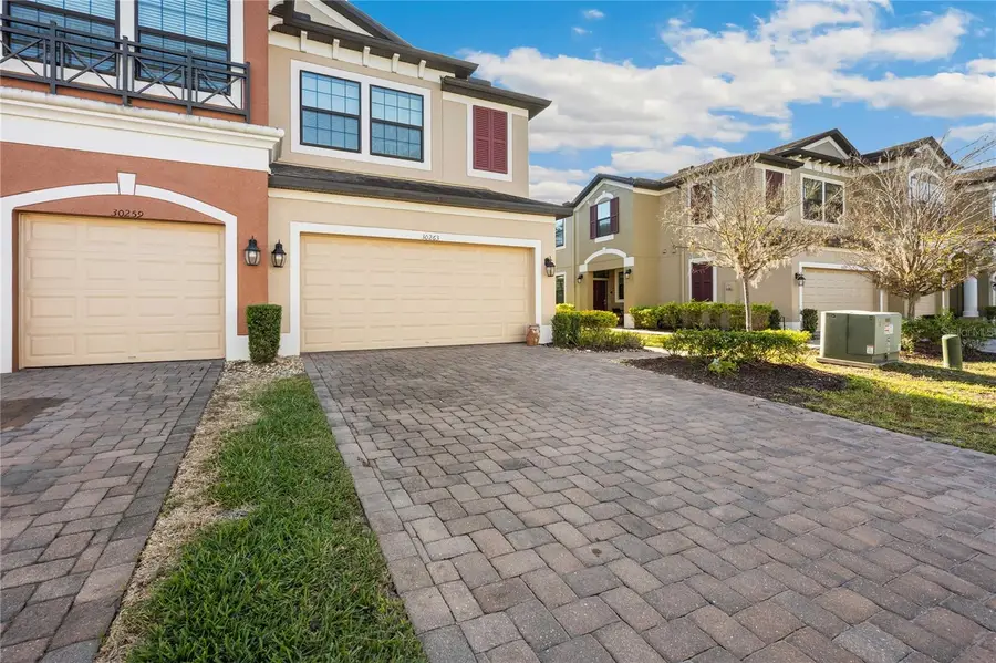 30263 Southwell Lane, Wesley Chapel, FL 33543 - #3