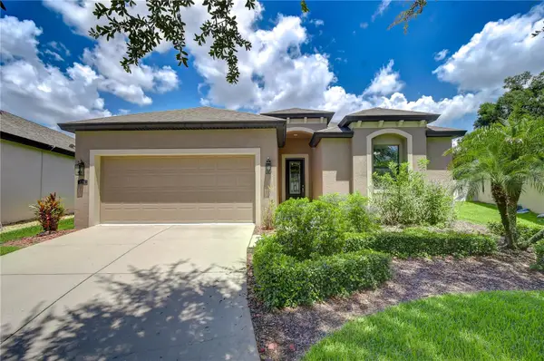 826 Vino Verde Circle, BRANDON, FL 33511