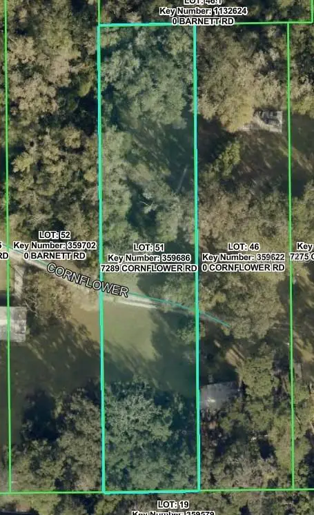 7289 Cornflower Road, BROOKSVILLE, FL 34601