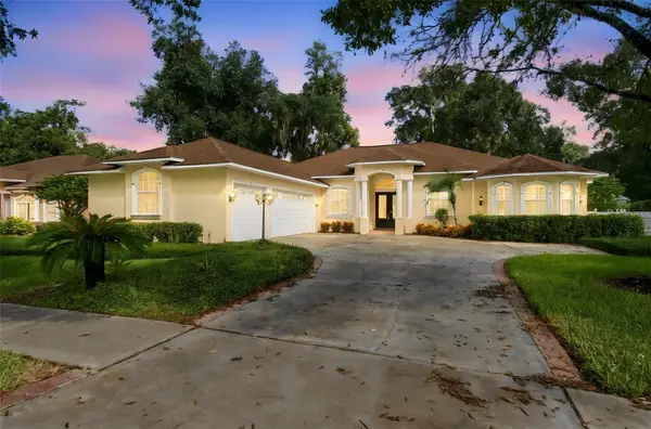 816 Citrus Wood Lane, VALRICO, FL 33594