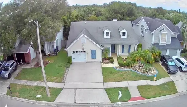 11838 Branch Mooring Drive, TAMPA, FL 33635