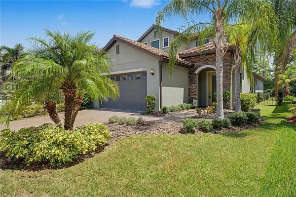 19539 Roseate Drive, LUTZ, FL 33558