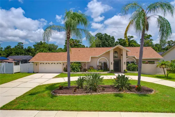 80 Foxfire Lane, OLDSMAR, FL 34677