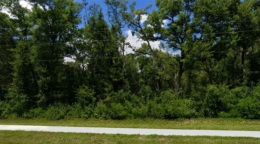 34357 Cortez Boulevard, Dade City, FL 33523 - #3