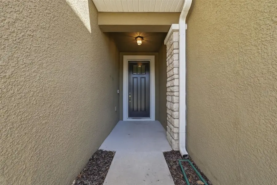 11752 Cambium Crown Drive, Riverview, FL 33569 - #3