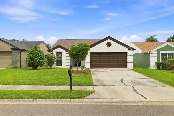 5033 Cypress Trace Drive, TAMPA, FL 33624