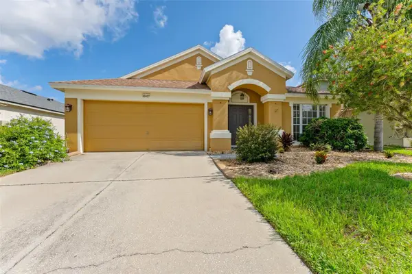 30407 Stapleton Street, WESLEY CHAPEL, FL 33545