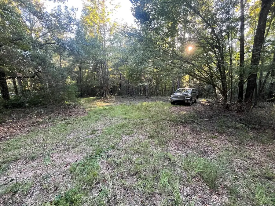 Old Federal Road, Quincy, FL 32351 - #2