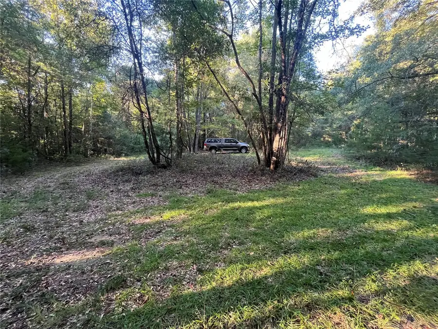 Old Federal Road, Quincy, FL 32351 - #3