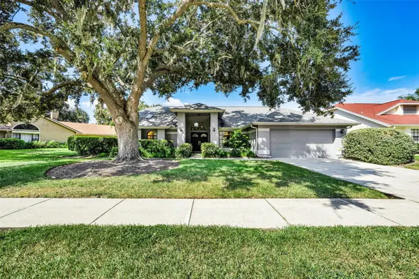 802 Centerwood Drive, TARPON SPRINGS, FL 34688