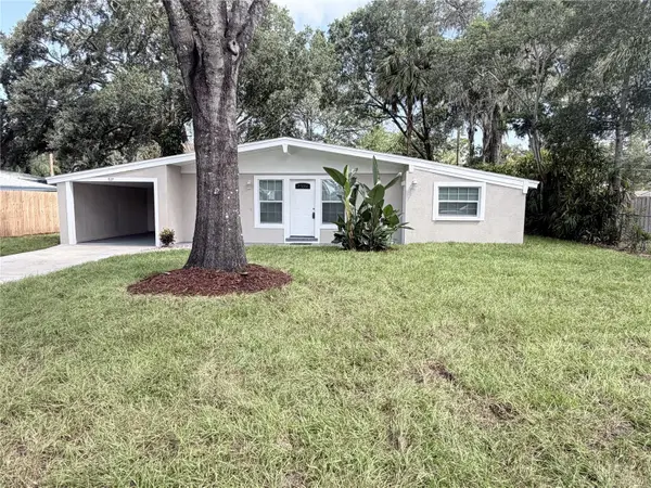 927 Lakewood Avenue, TAMPA, FL 33613