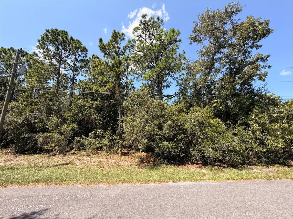 4447 Hansen Trail, Brooksville, FL 34604 - #1